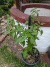 PXL_20220710_140033001.jpg