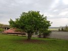 IMG_20220501_182512.jpg