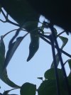 20230608_122433.jpg