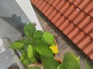 IMG_20230629_173639.jpg