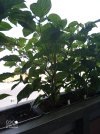 IMG_20230717_153159_470.jpg