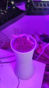 IMG_20230918_164216.jpg