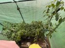 IMG_1141.jpeg