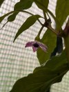 IMG_1144.jpeg
