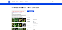 Southeastern Brasil -- Wild Capsicum