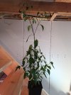 IMG_20240516_144947.jpg