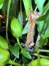 IMG_0095.JPEG