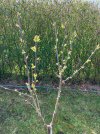 IMG_1384.jpeg