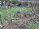 IMG_1378.jpeg