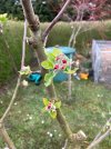 IMG_1377.jpeg