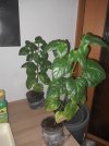 20250506_203859.jpg
