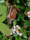 IMG_20250519_151156.jpg