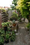 Tuin Mei (1).JPG