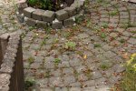 Tuin Mei (2).JPG