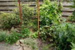 Tuin Mei (6).JPG