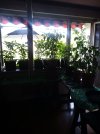 IMG_20250630_122746_436.jpg