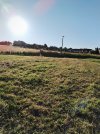 IMG_20250702_064135.jpg