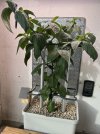 IMG_0997.jpeg