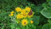 DSC02442.JPG