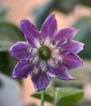 IMG_1056.jpeg