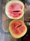 IMG_6115.jpeg