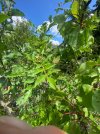 IMG_0813.jpeg
