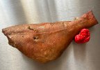 IMG_1072.jpeg