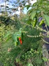 IMG_1870.jpeg