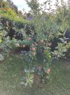 IMG_1880.jpeg