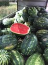 IMG_4269.jpeg