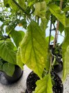 IMG_7717.jpeg