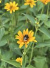 IMG_7141.jpeg