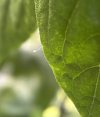IMG_1108.jpeg
