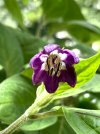 IMG_2940.JPEG