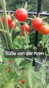 20250805_093259.jpg