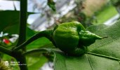 IMG_20250805_201732.jpg