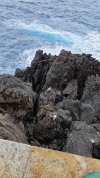IMG_20250731_163634.jpg