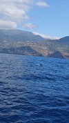 IMG_20250803_111908.jpg