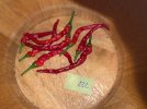 IMG_7173.jpeg