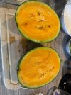 IMG_6476.jpeg