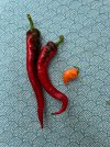 IMG_8102.jpeg