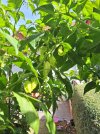 20250907_133056.jpg