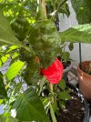 IMG_0423.jpeg