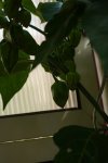 DSC00717.JPG