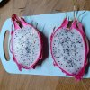 2025-09-07 Pitahaya bereit zum Verzehr.jpg