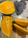 IMG_6630.jpeg