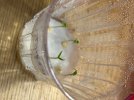 IMG_7784.jpeg