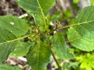 IMG_7143.jpeg