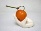 rocoto.jpg