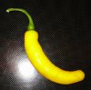 Chili_gelb2.jpg